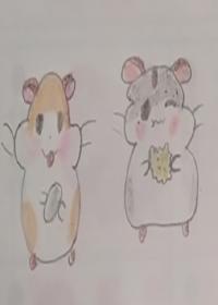 柠檬汽水