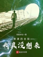 情满四合院我真没想来