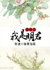 还珠之我是明君