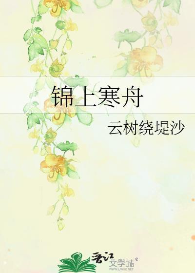 锦上寒舟