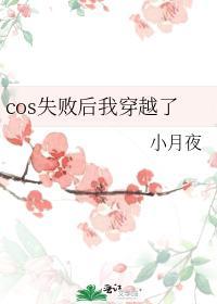 cos失败后我穿越了