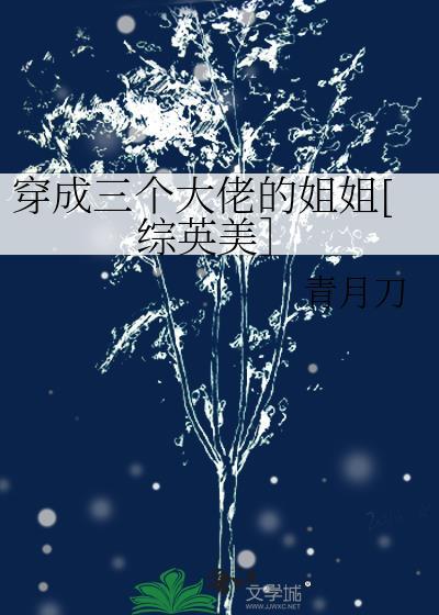 穿成三个大佬的姐姐[综英美］