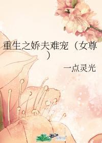 重生之娇夫难宠（女尊）