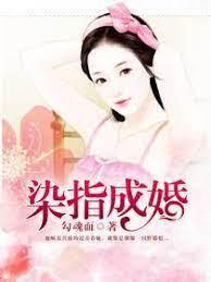 染指成婚:陆少轻点宠