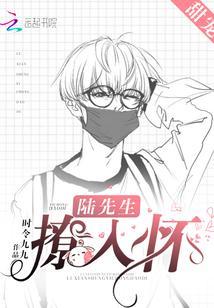 陆先生,撩入怀!