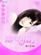 会有姐夫替我爱你：亿万小老婆