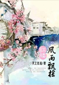 红楼之风雨飘摇