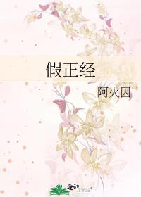假正经