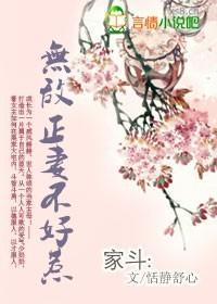 穿越:无敌正妻不好惹