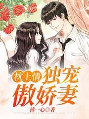 枕上情,独宠傲娇妻