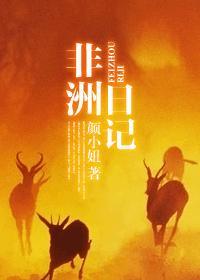 非洲日记