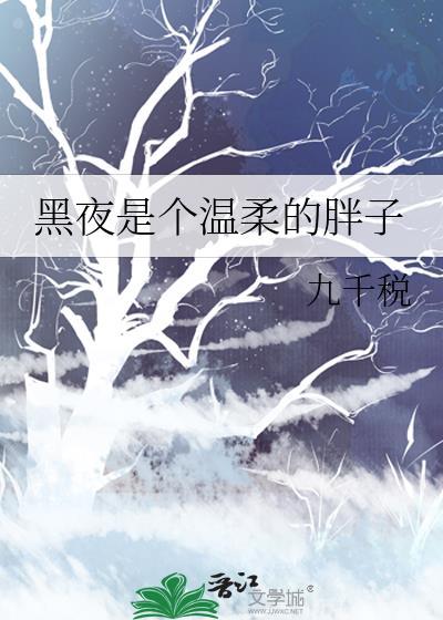 黑夜是个温柔的胖子
