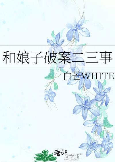 和娘子破案二三事