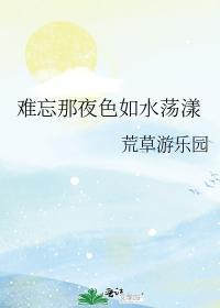难忘那夜色如水荡漾