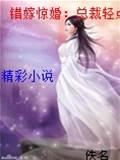 错嫁惊婚:总裁轻点爱