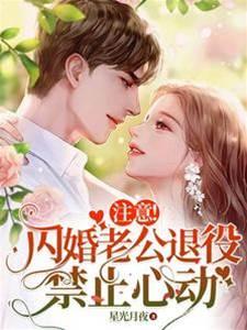 註意!闪婚老公退役,禁止心动