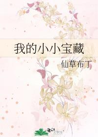 我的小小宝藏