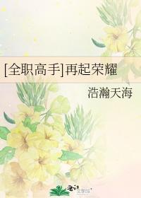 再起荣耀