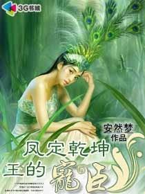 凤定干坤：王的宠臣