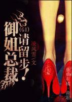 总裁,请留步!