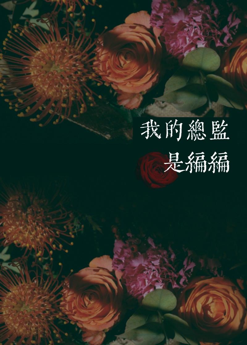 我的总监是编编