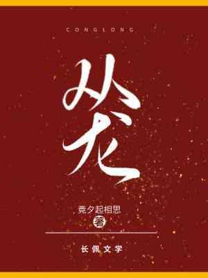 从龙