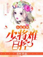 小妻多娇:少将难自控