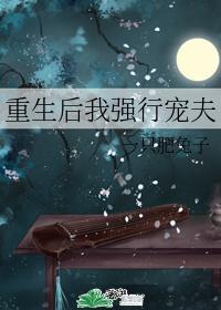 重生后我强行宠夫