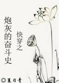 炮灰的奋斗史