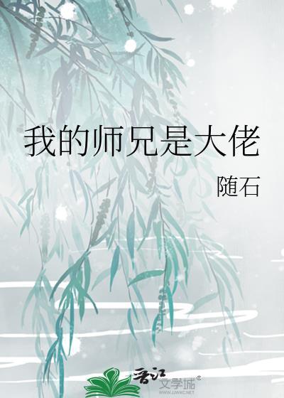 我的师兄是大佬