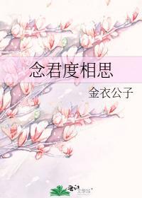 念君度相思