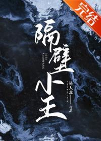 隔壁小王(全息)