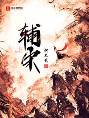 辅宋