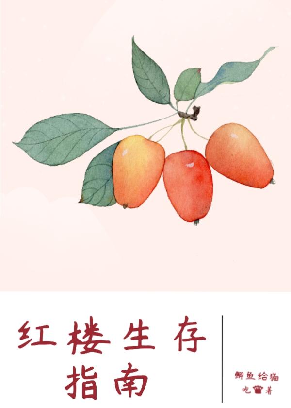 红楼生存指南
