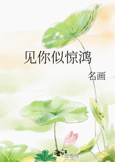 见你似惊鸿