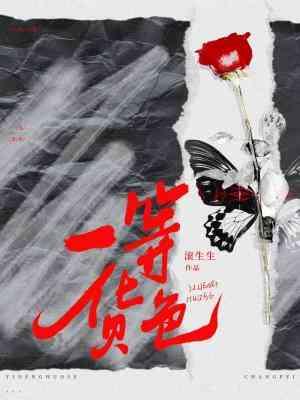 一等货色