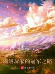 宝可梦:满级玩家的冠军之路