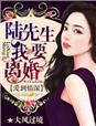爱到情深,陆先生我要离婚!