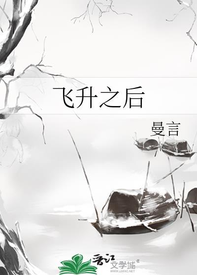 飞升之后
