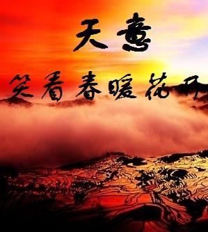 天意