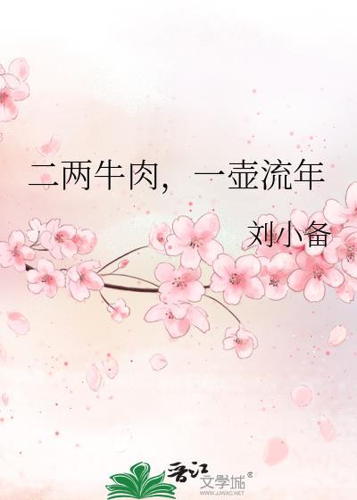 二两牛肉，一壶流年