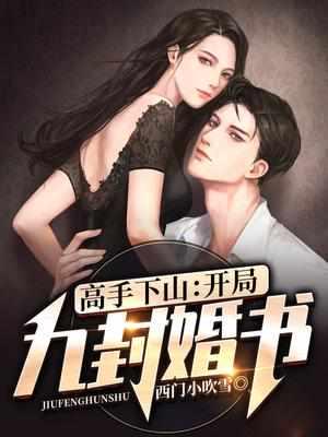 高手下山:开局九封婚书