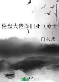 格盘大佬操旧业（潦士）