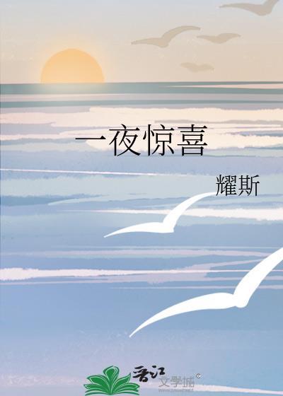 一夜惊喜