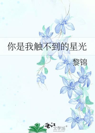 你是我触不到的星光