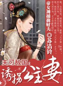 夫可敌国:诱拐公主妻