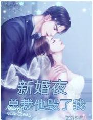 新婚夜，总裁他毁了我