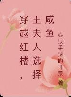 穿越红楼,王夫人选择咸鱼