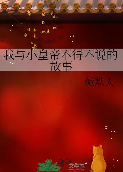 我与小皇帝不得不说的故事