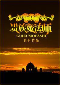 贵族魔法师